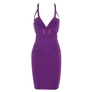 Purple plunge neckline mesh bandage mini dress